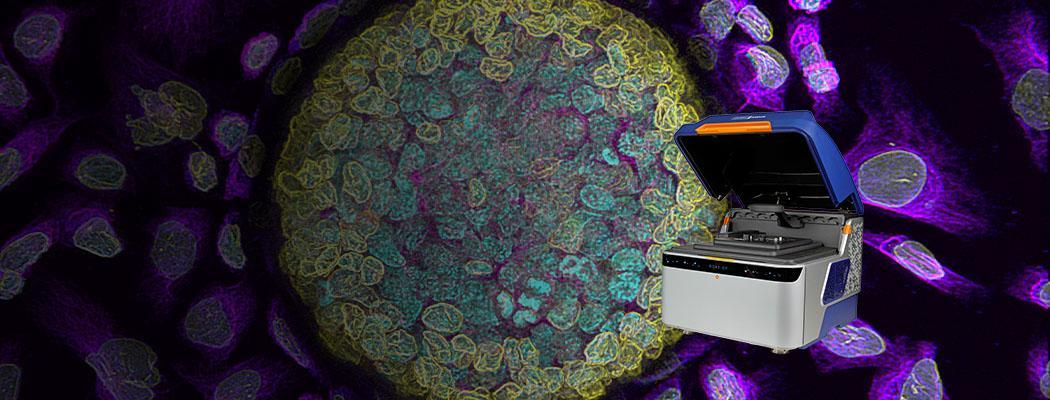 全新 桌面式显微成像系统