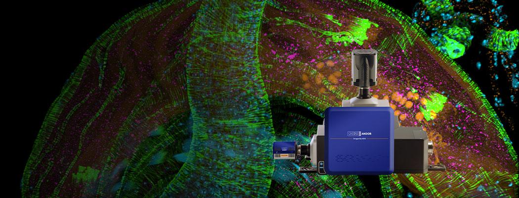 Dragonfly Confocal Microscope System