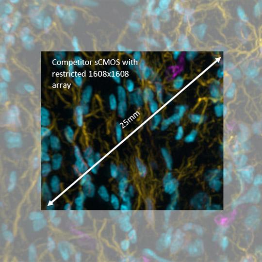 竞争对手的背照式sCMOs传感器采用受限的1608×1608像素阵列